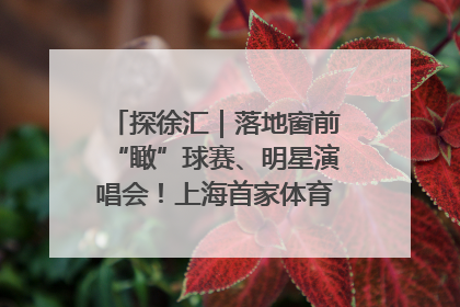 探徐汇｜落地窗前“瞰”球赛、明星演唱会！上海首家体育特色高端酒店亮相