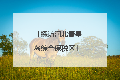 探访河北秦皇岛综合保税区