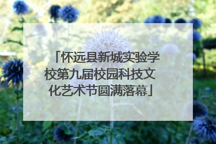 怀远县新城实验学校第九届校园科技文化艺术节圆满落幕