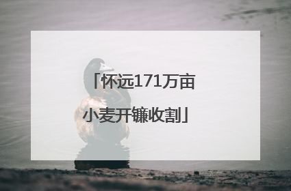 怀远171万亩小麦开镰收割