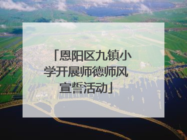 恩阳区九镇小学开展师德师风宣誓活动