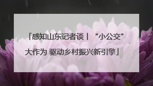感知山东记者谈丨“小公交”大作为 驱动乡村振兴新引擎