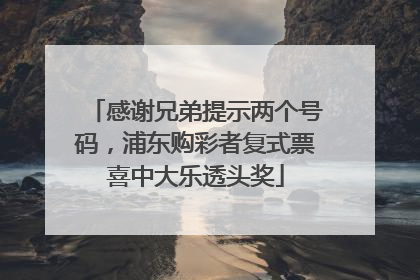感谢兄弟提示两个号码，浦东购彩者复式票喜中大乐透头奖
