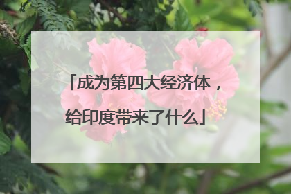 成为第四大经济体，给印度带来了什么