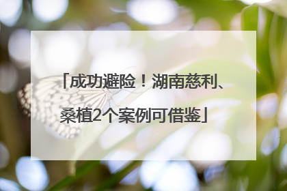 成功避险！湖南慈利、桑植2个案例可借鉴