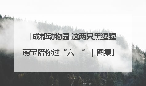 成都动物园 这两只黑猩猩萌宝陪你过“六一”｜图集