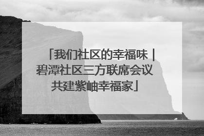 我们社区的幸福味｜碧潭社区三方联席会议共建紫岫幸福家