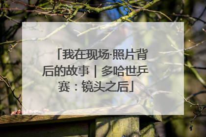 我在现场·照片背后的故事｜多哈世乒赛：镜头之后
