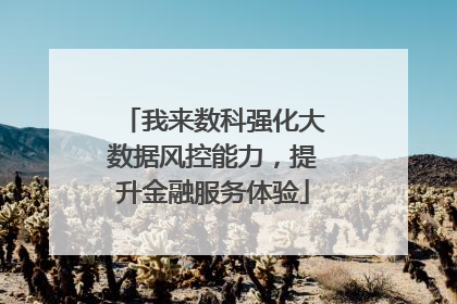 我来数科强化大数据风控能力，提升金融服务体验