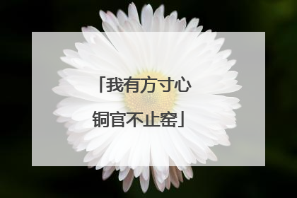 我有方寸心 铜官不止窑