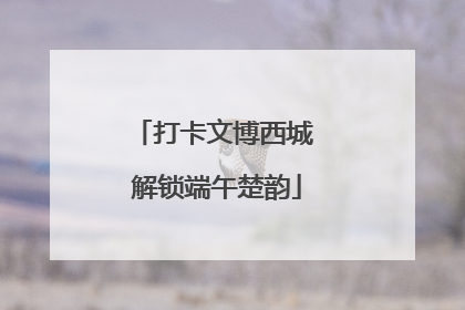 打卡文博西城 解锁端午楚韵