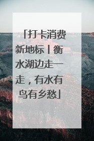 打卡消费新地标丨衡水湖边走一走，有水有鸟有乡愁