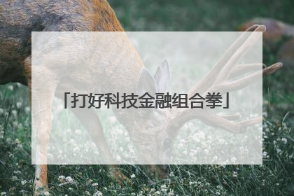 打好科技金融组合拳