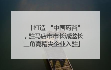 打造 “中国药谷”，驻马店市市长诚邀长三角高精尖企业入驻