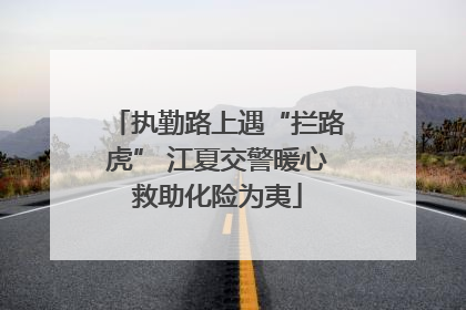 执勤路上遇“拦路虎” 江夏交警暖心救助化险为夷