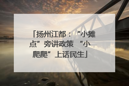 扬州江都:“小摊点”旁讲政策 “小爬爬”上话民生