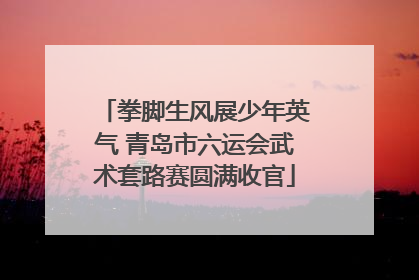 拳脚生风展少年英气 青岛市六运会武术套路赛圆满收官