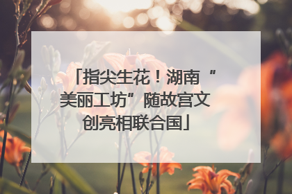 指尖生花！湖南“美丽工坊”随故宫文创亮相联合国