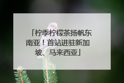 柠季柠檬茶扬帆东南亚！首站进驻新加坡、马来西亚
