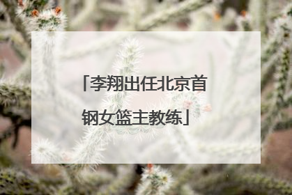 李翔出任北京首钢女篮主教练