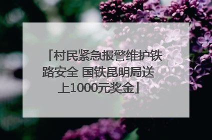 村民紧急报警维护铁路安全 国铁昆明局送上1000元奖金