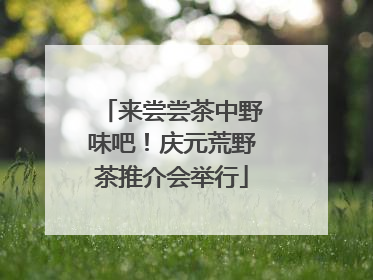 来尝尝茶中野味吧！庆元荒野茶推介会举行