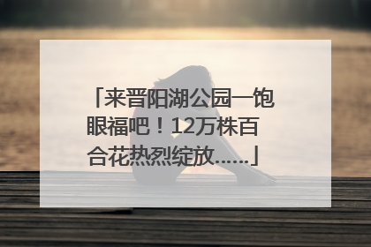 来晋阳湖公园一饱眼福吧！12万株百合花热烈绽放……