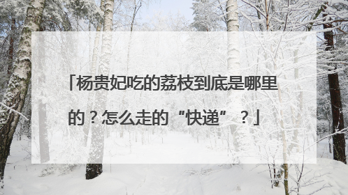 杨贵妃吃的荔枝到底是哪里的？怎么走的“快递”？