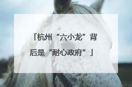 杭州“六小龙”背后是“耐心政府”