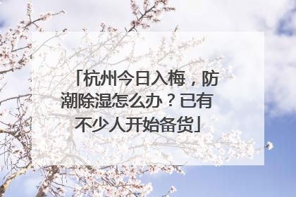 杭州今日入梅，防潮除湿怎么办？已有不少人开始备货