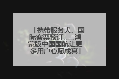 携带服务犬、国际客票预订……鸿蒙版中国国航让更多用户心愿成真