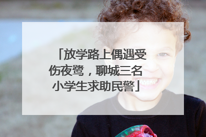放学路上偶遇受伤夜鹭，聊城三名小学生求助民警