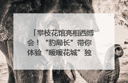 攀枝花馆亮相西博会！“豹局长”带你体验“暖暖花城”独特魅力｜西博视界