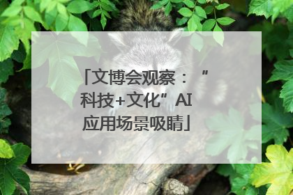 文博会观察：“科技+文化”AI应用场景吸睛