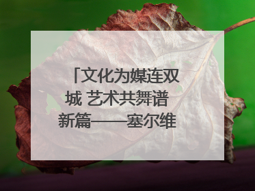 文化为媒连双城 艺术共舞谱新篇——塞尔维亚科瓦契察市代表团访问日照