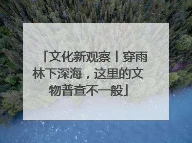 文化新观察丨穿雨林下深海，这里的文物普查不一般