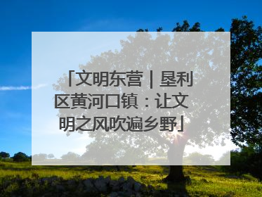 文明东营｜垦利区黄河口镇：让文明之风吹遍乡野