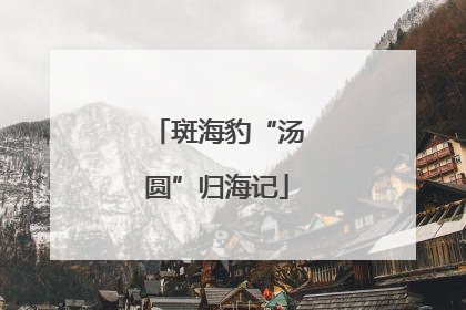 斑海豹“汤圆”归海记