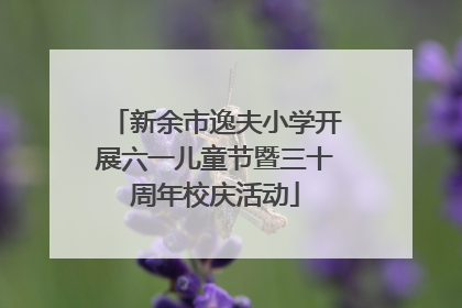 新余市逸夫小学开展六一儿童节暨三十周年校庆活动