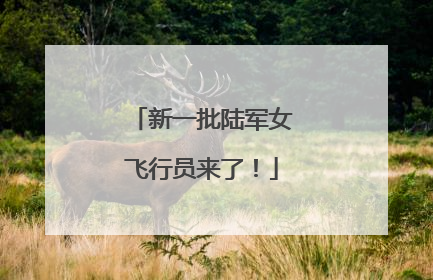 新一批陆军女飞行员来了！