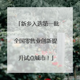 新乡入选第一批全国零售业创新提升试点城市！