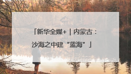 新华全媒+｜内蒙古：沙海之中建“蓝海”