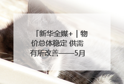 新华全媒+｜物价总体稳定 供需有所改善——5月份物价数据透视