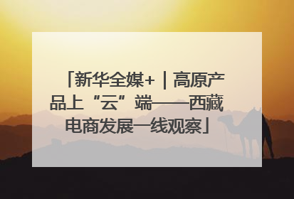 新华全媒+｜高原产品上“云”端——西藏电商发展一线观察