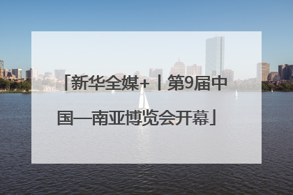 新华全媒+丨第9届中国—南亚博览会开幕