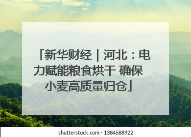 新华财经｜河北：电力赋能粮食烘干 确保小麦高质量归仓
