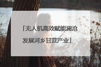 无人机高效赋能澜沧发展河乡甘蔗产业