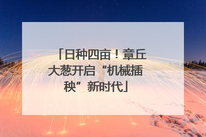 日种四亩！章丘大葱开启“机械插秧”新时代