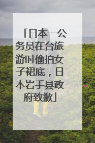 日本一公务员在台旅游时偷拍女子裙底，日本岩手县政府致歉