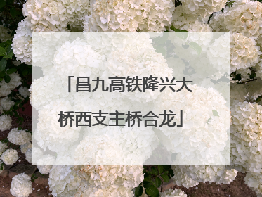 昌九高铁隆兴大桥西支主桥合龙